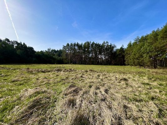 Jak wybrać działkę pod budowę domu – kompletny poradnik dla przyszłego inwestora